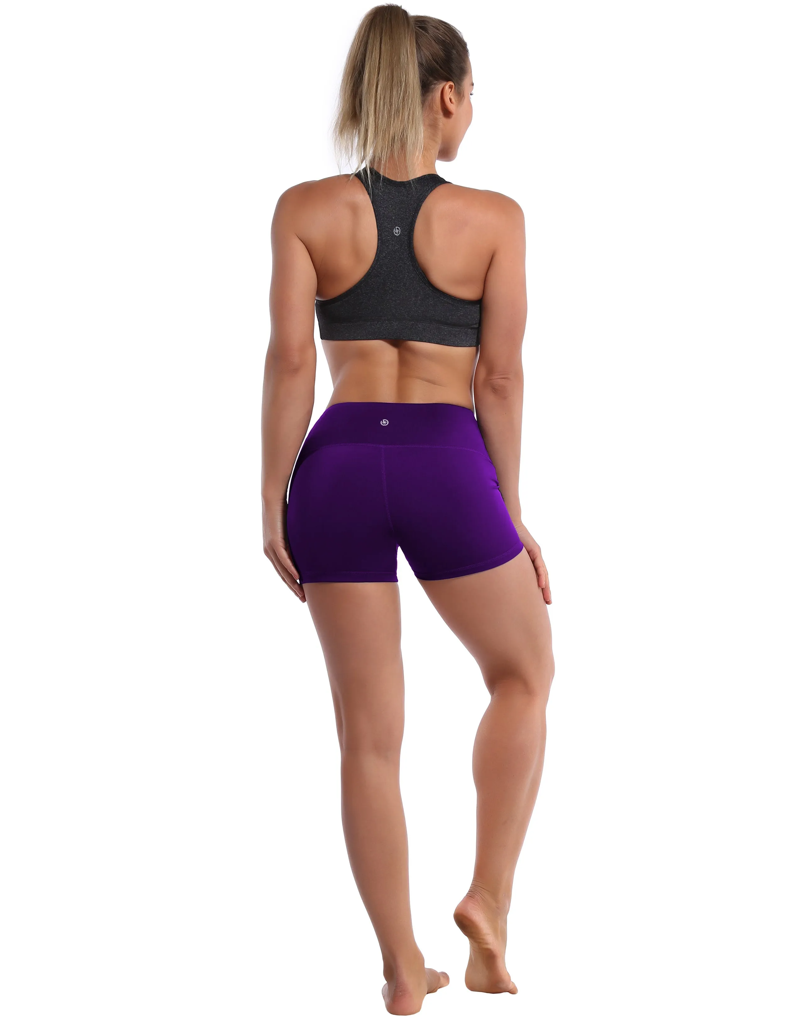 2.5" Plus Size Shorts eggplantpurple_Plus Size
