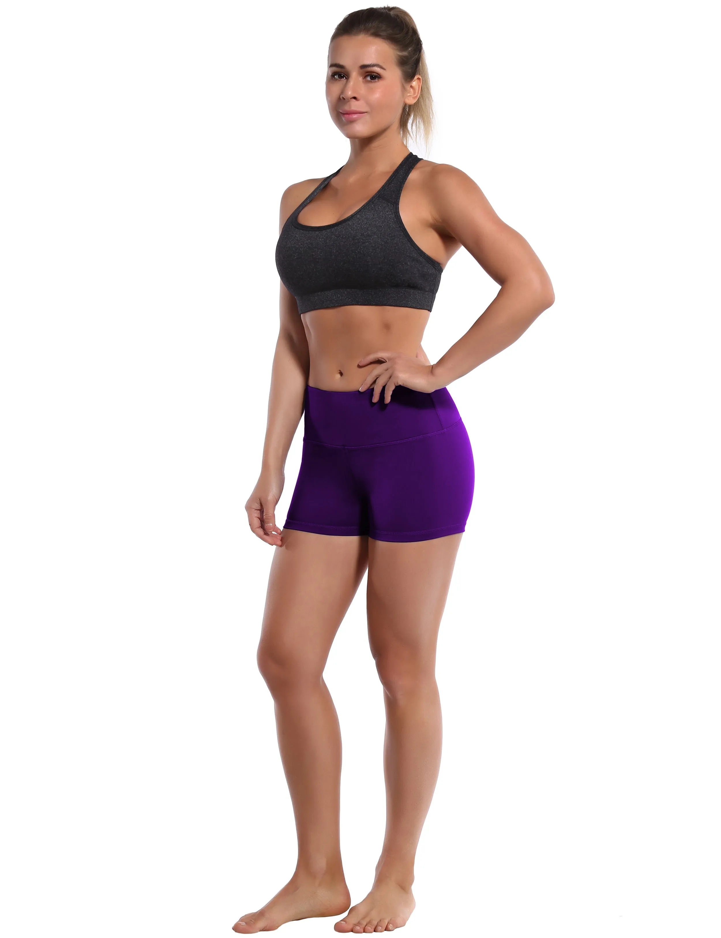 2.5" Plus Size Shorts eggplantpurple_Plus Size
